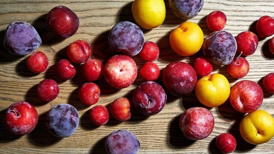 plumcot fruit and pluots all you need to know 2