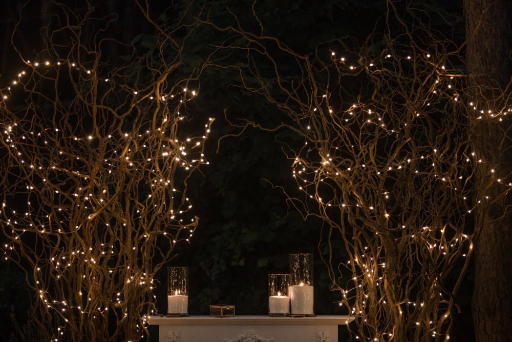 whimsical enchanted mystical lights home